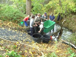 Abfischen 2006